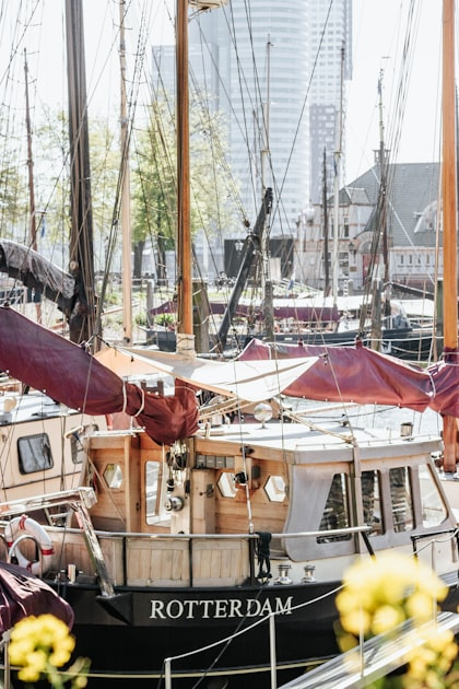 Sailing Opportunities in South Haven